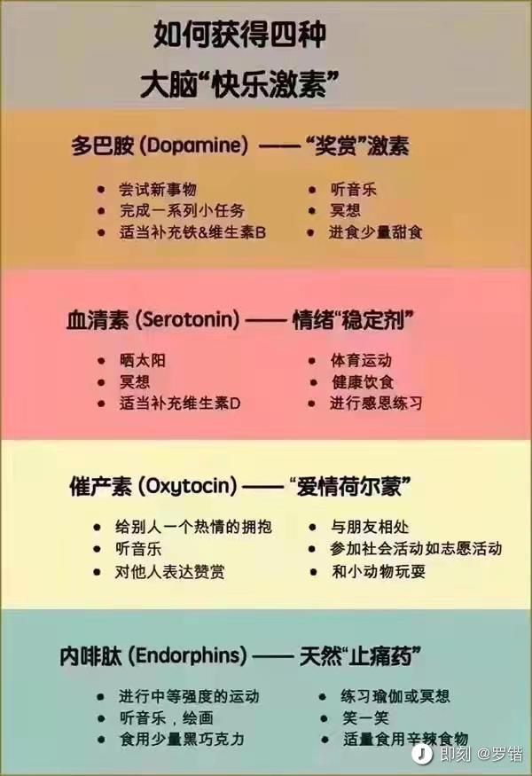 【萌新影舞的自我修养】回来的鹦鹉怎么玩的舒服2