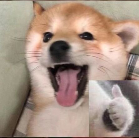 出啦！终于出啦！！3