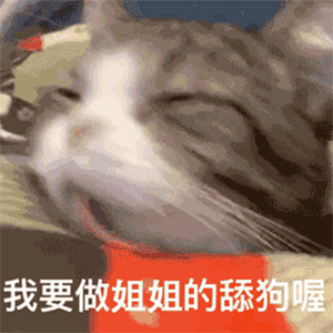 人到中年开始喜欢大金表1