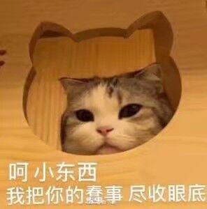 敢不敢让玩家到策划面对面现场1