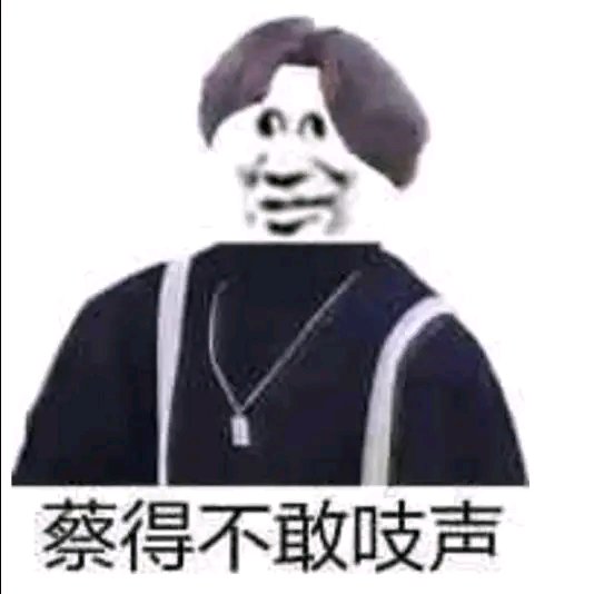大天域可以用真龙项链吗1