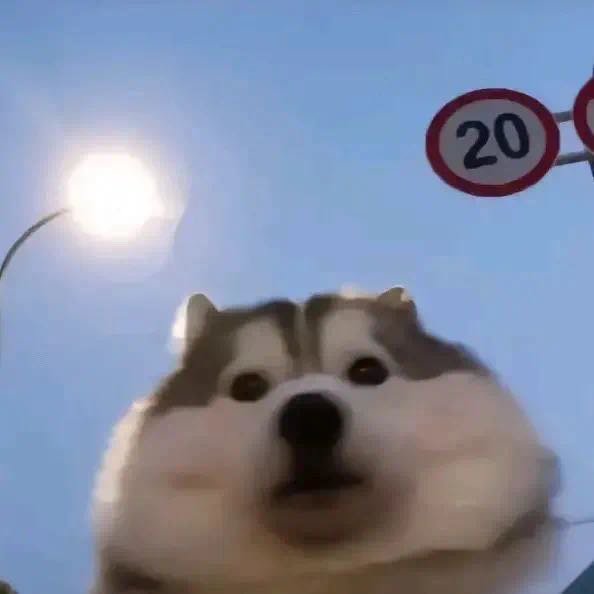 王小妹天下第一1