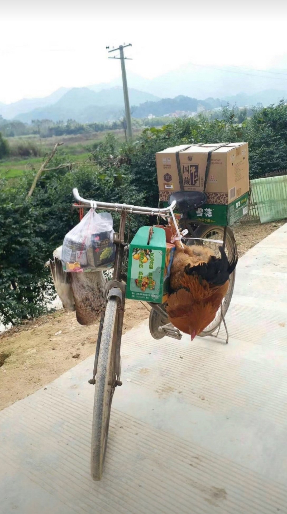 大家好啊，新版超时空漩涡（巴卡尔）好玩吗1