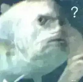 666666661