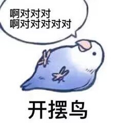 最好的增幅宠物是哪个？1