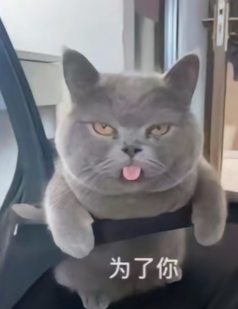 专职，想元素转魔道，大佬给点建议呀1