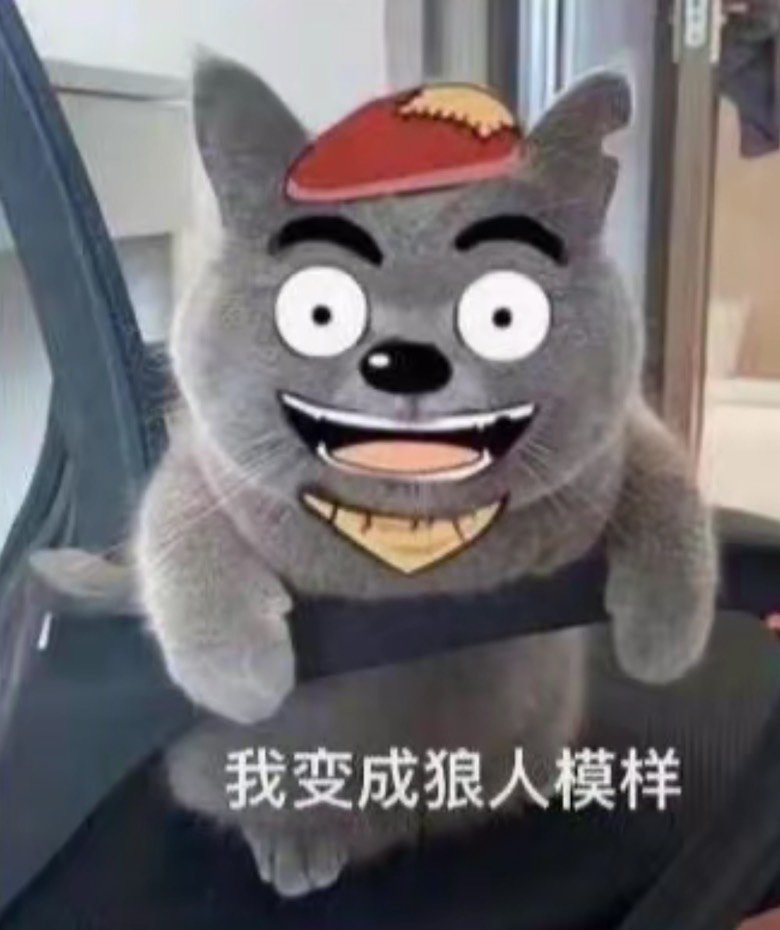 专职，想元素转魔道，大佬给点建议呀2
