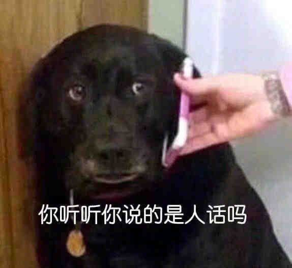 我突然有个问题1