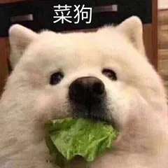 巴卡尔绿队多少名望1