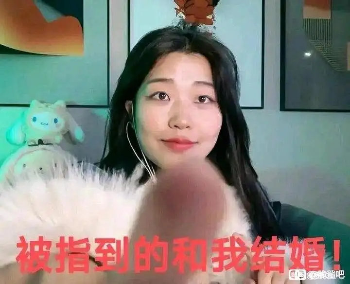 心悦成就点宠物换错了有办法改吗，心悦11