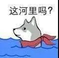 纯滴血乐子人搭配2