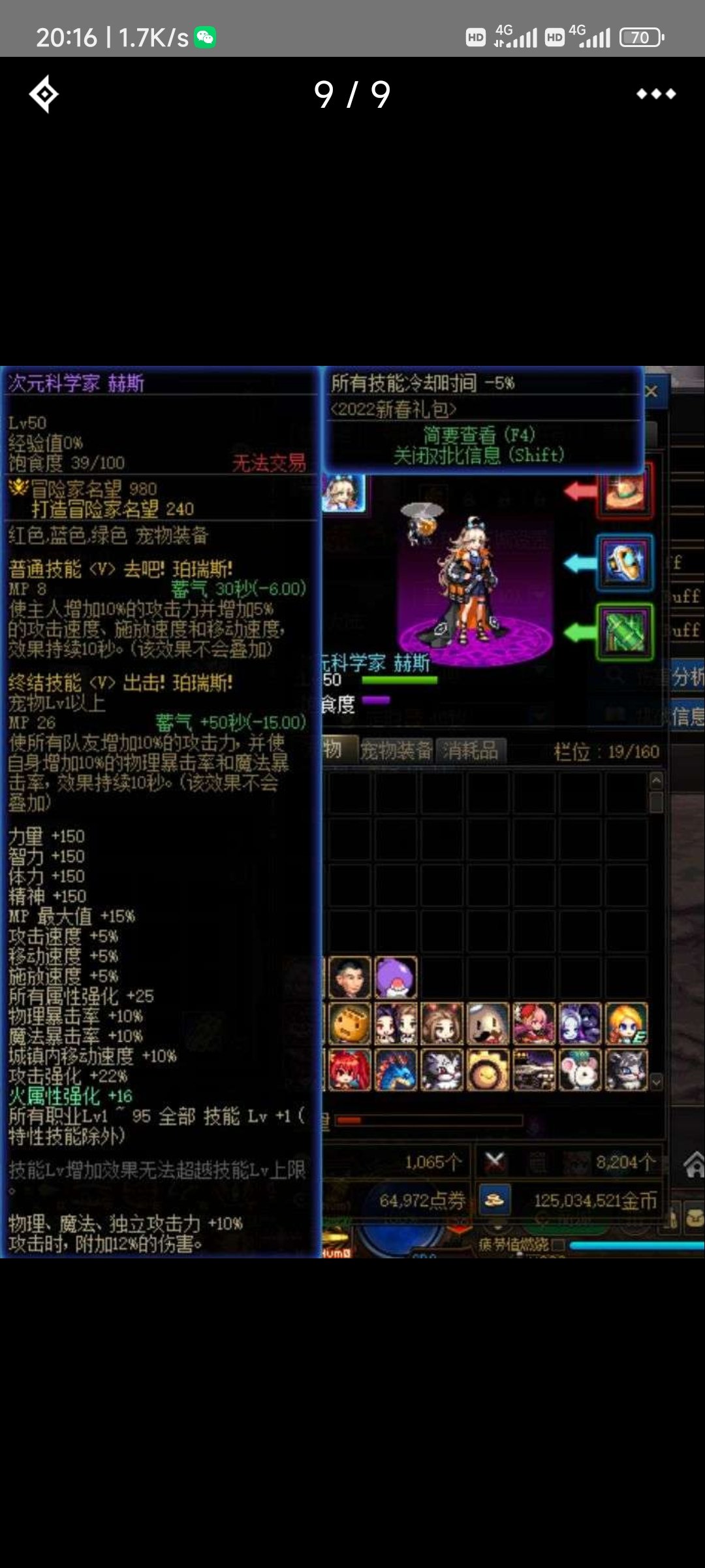 春节宠问题1