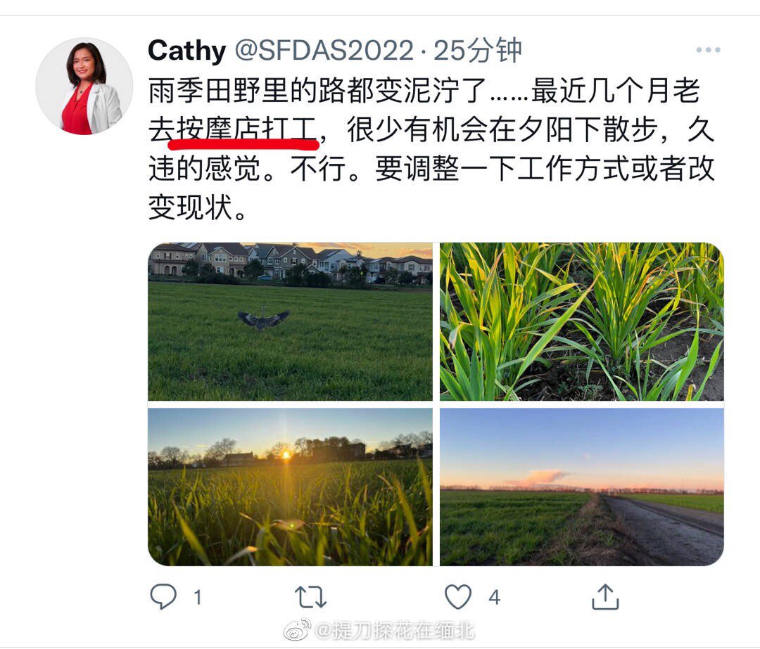 推荐一个润人观察博主3