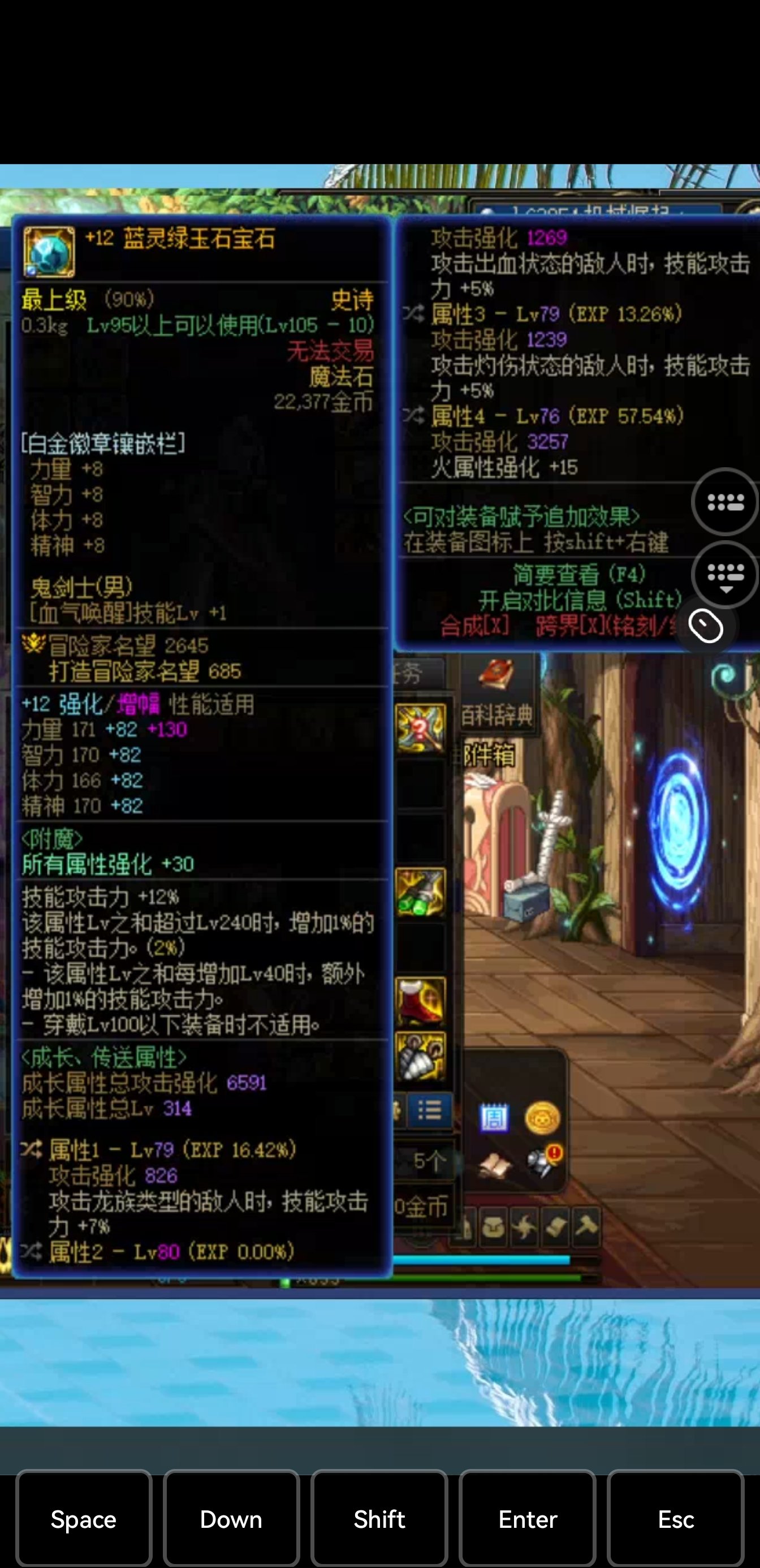 换了4个位置的自定义,大佬帮看看跟常规ss比有没有提升,沃特碧们的Colg,DNF地下城与勇士 - COLG社区