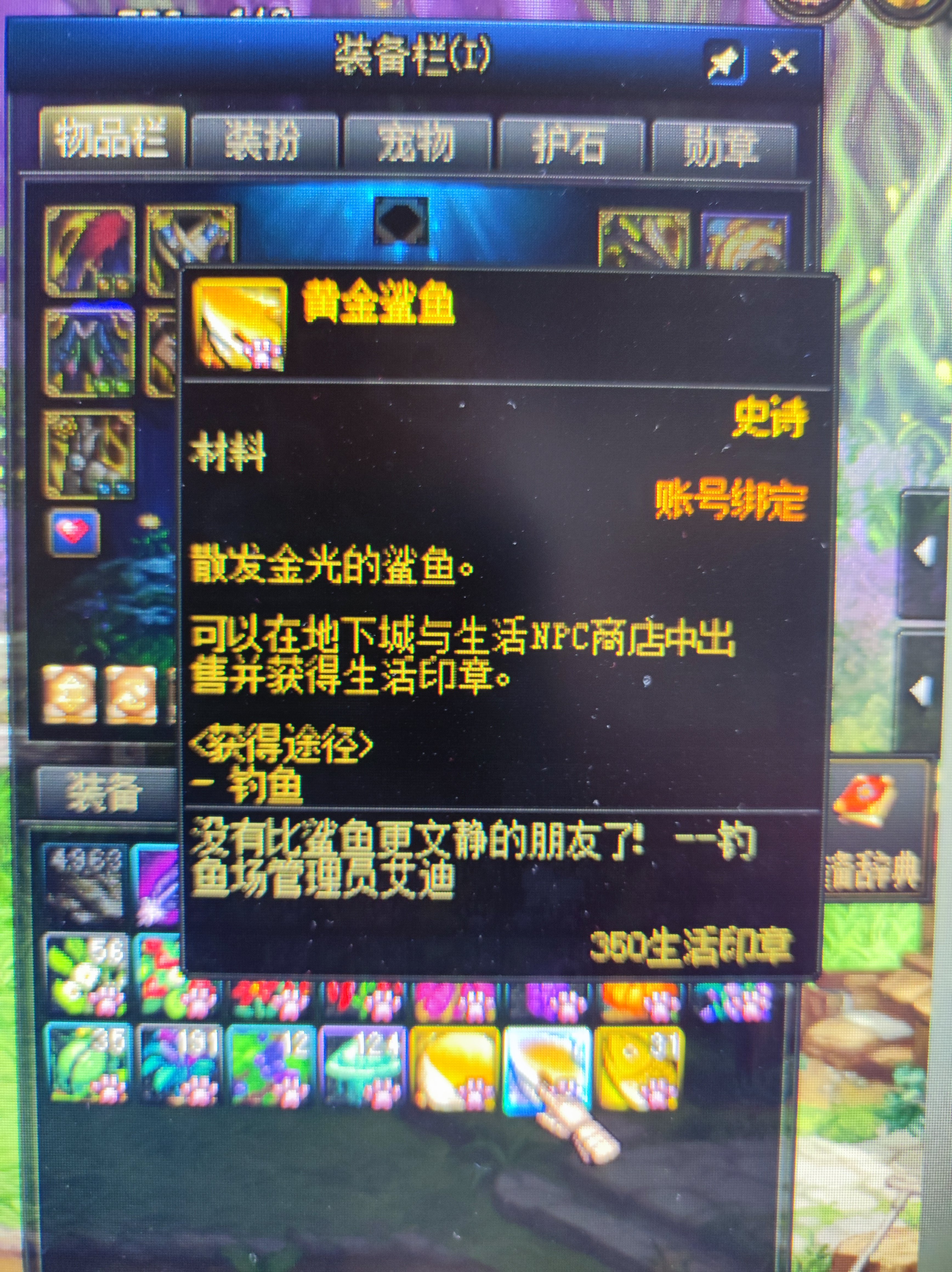 地下城与生活之我的鱼塘2