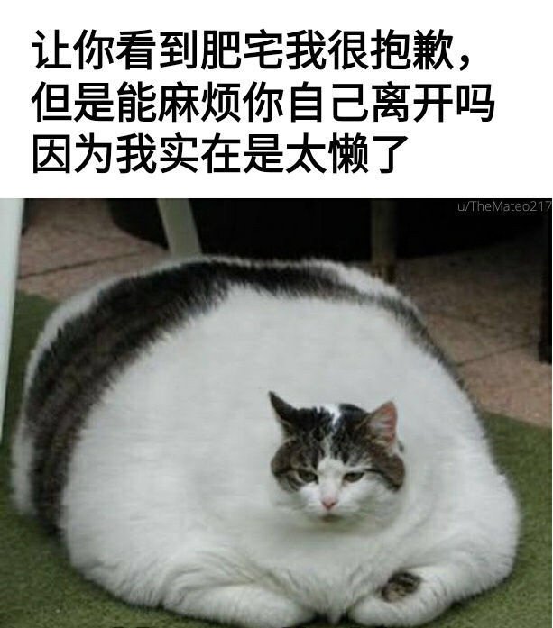 呵，战斗力为0的渣渣2