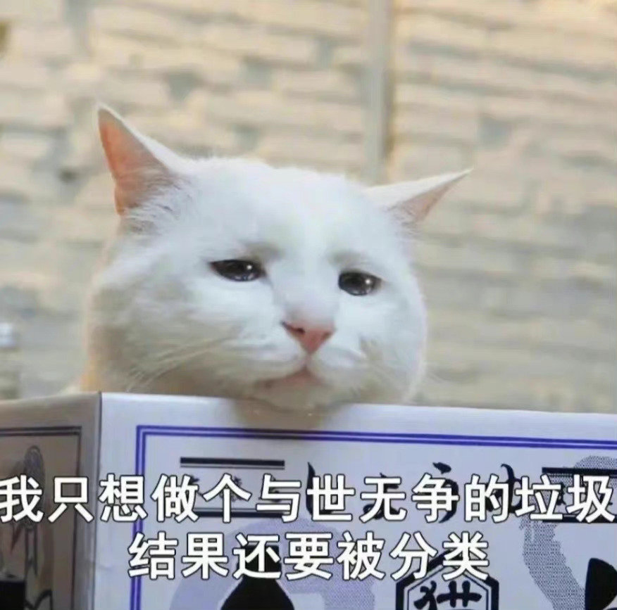 攻速空血流护肩用灵巧还是巴卡妮肩啊1