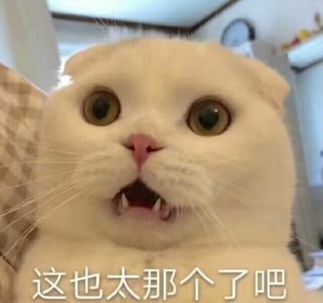 这也太那个了吧1