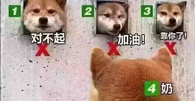 奶罗buff的三功力智怎么算啊1
