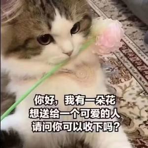 【巴卡尔】小团体招募招新1