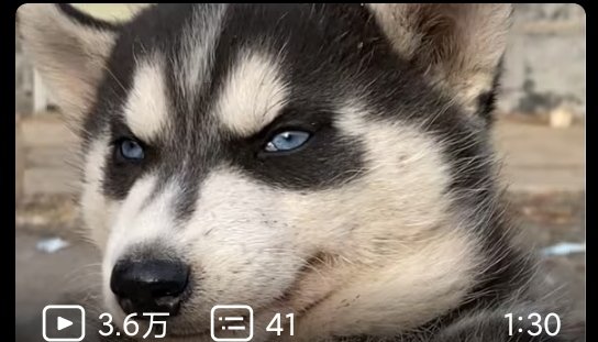 猜猜这是哪位改版后的角色1