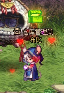 给小动物做了几套衣服1