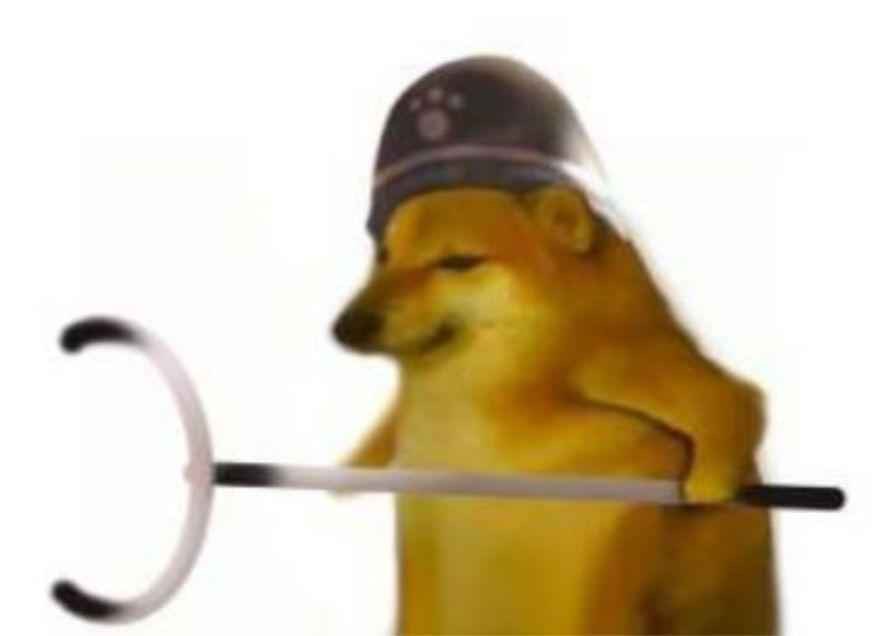 来懂哥，想提升一波了1