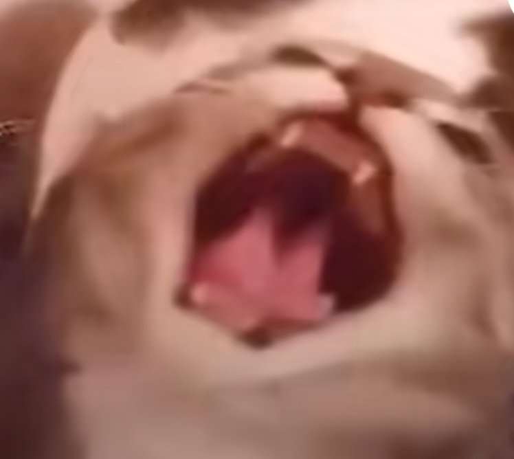 昨天更新完就这样了（已解决 更新了新补丁）3