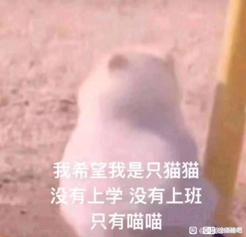 好奇怪啊3