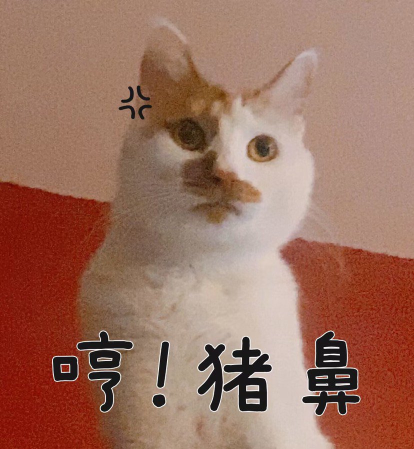 合金奶妈二通巴卡尔，和天界人的合作芜湖1