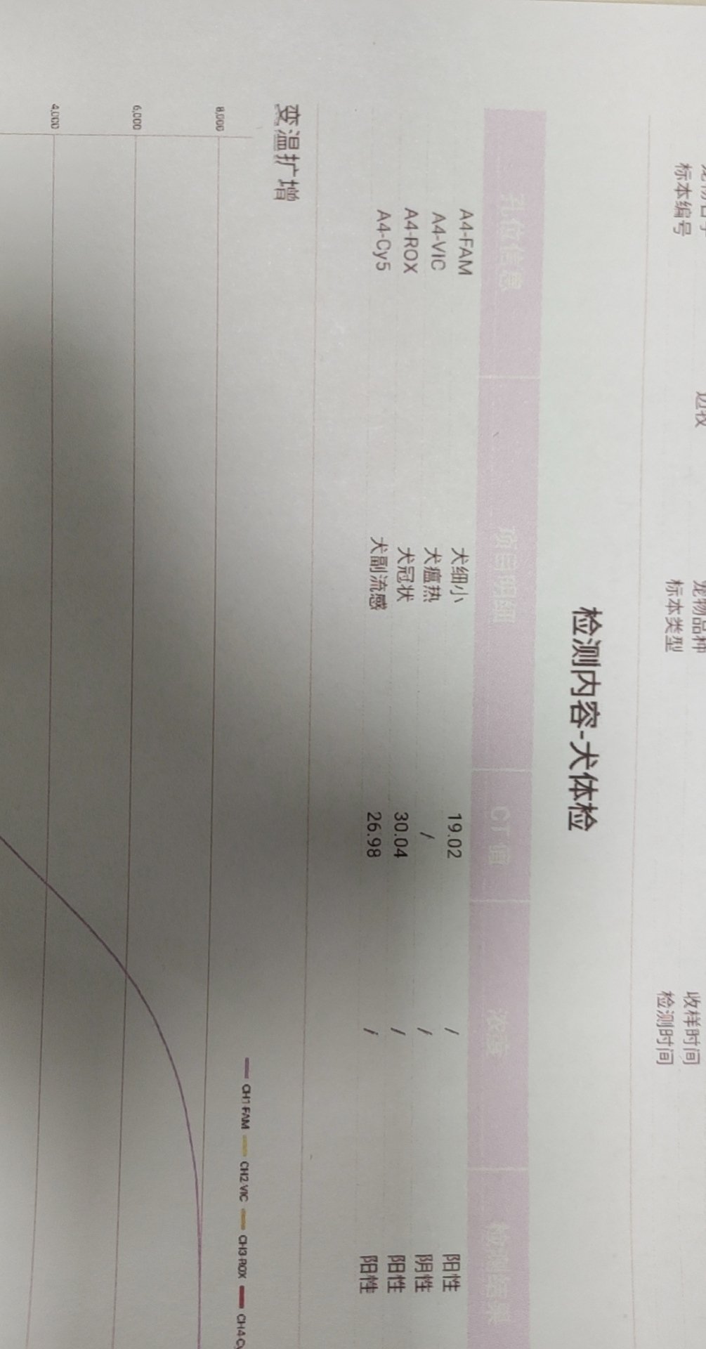 今天捡到了两只小狗4