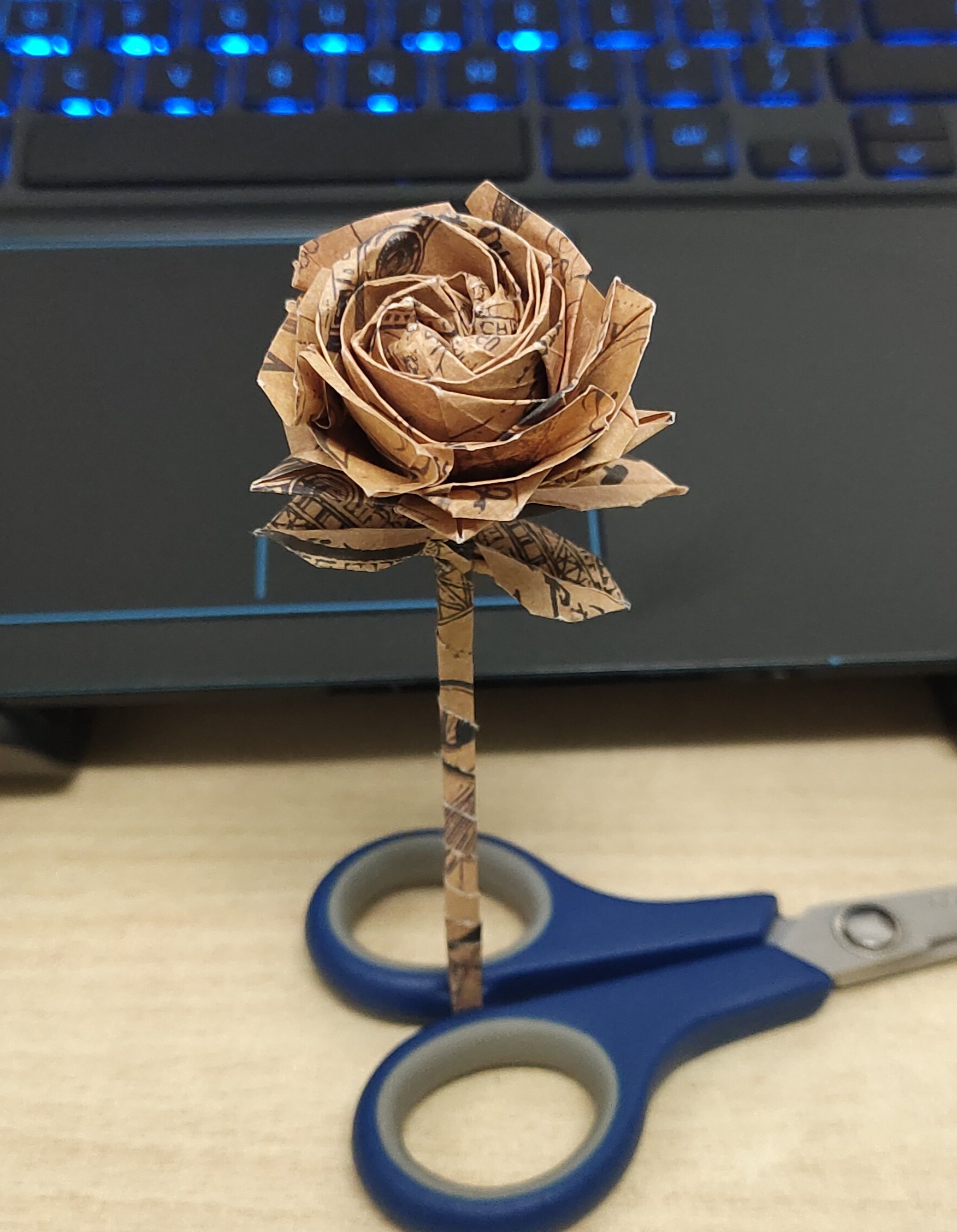 折的花花1