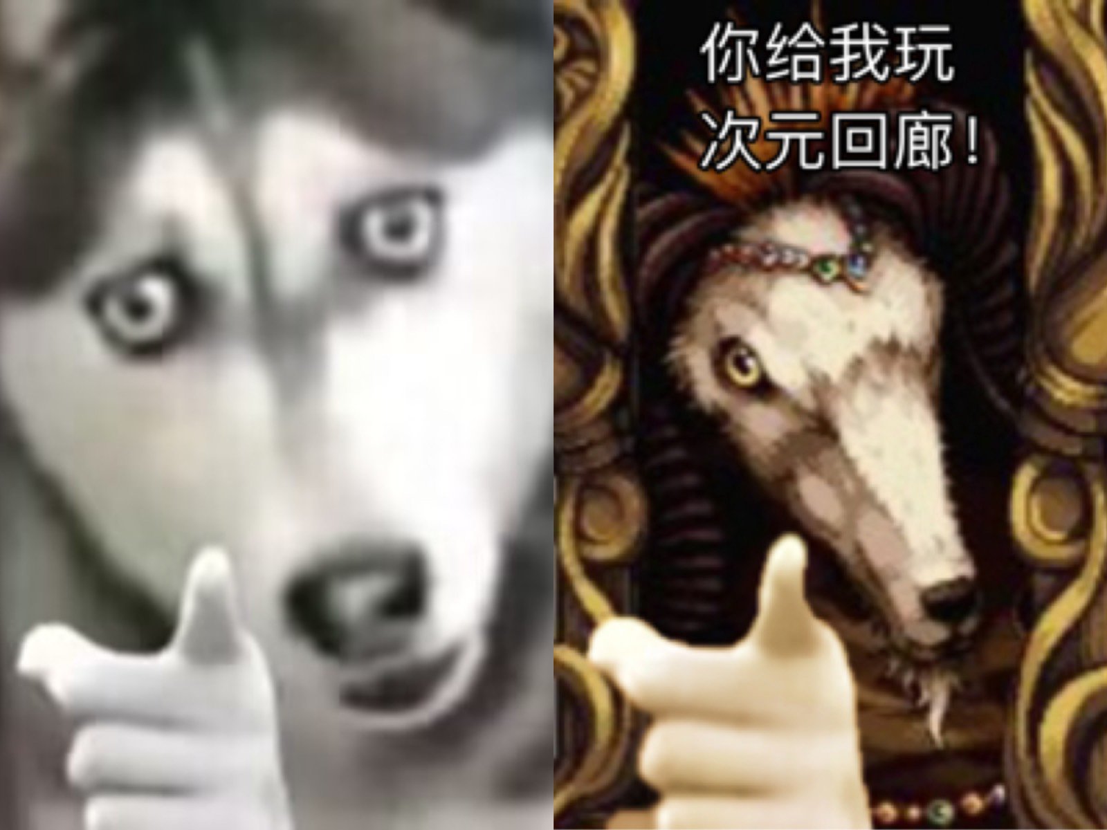 都是8+，羊和羊不一样1