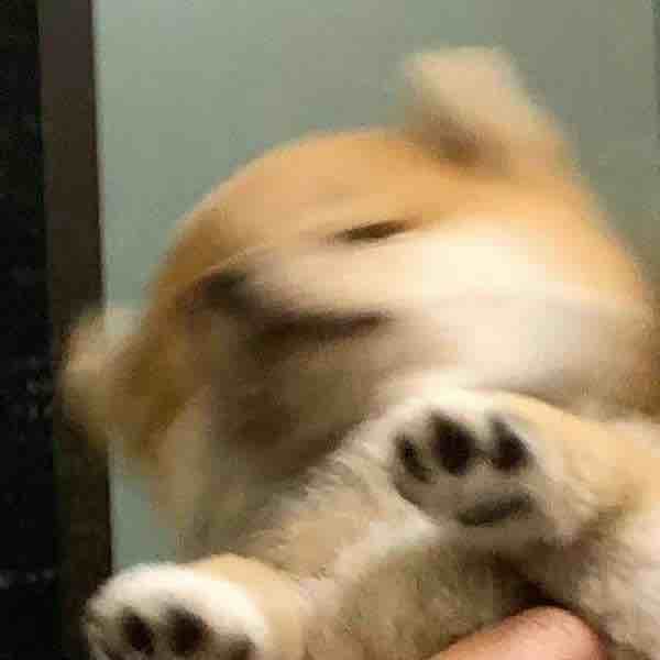 这也太过分了吧1