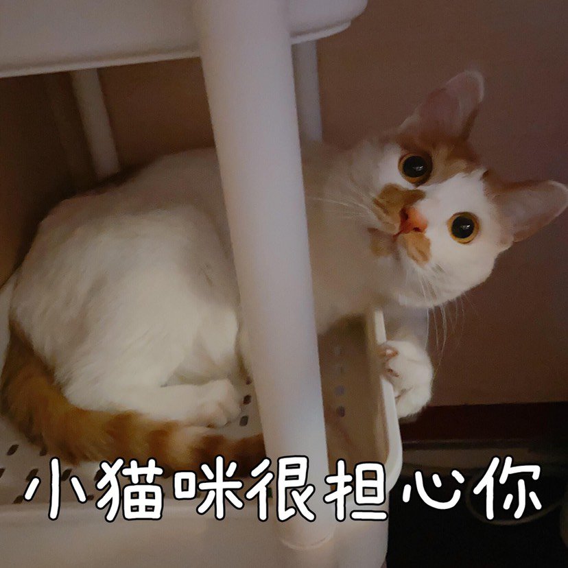 肥鯮奶妈二通巴卡尔，好肥的鯮(14分钟仍有余力)2
