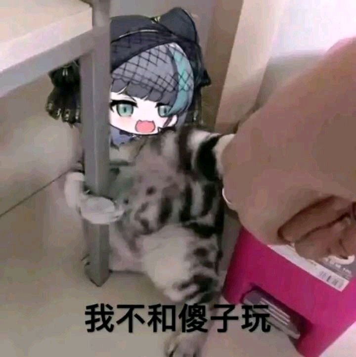 看到有人觉得贴膜有了次数不重要，不是滴捏2