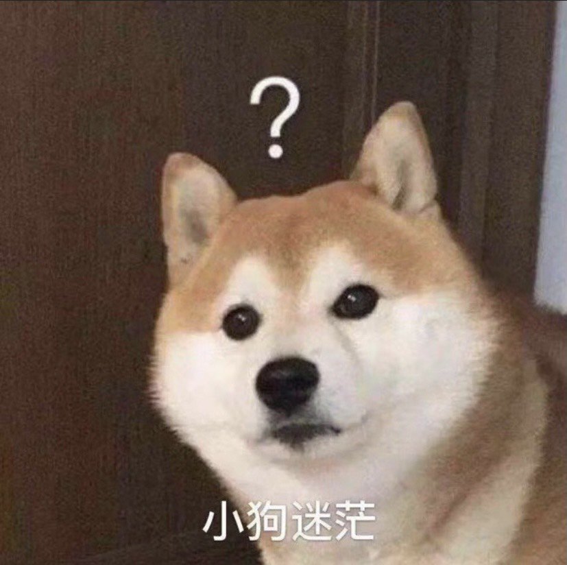 瞎子哥是不是很适合带回廊肩1