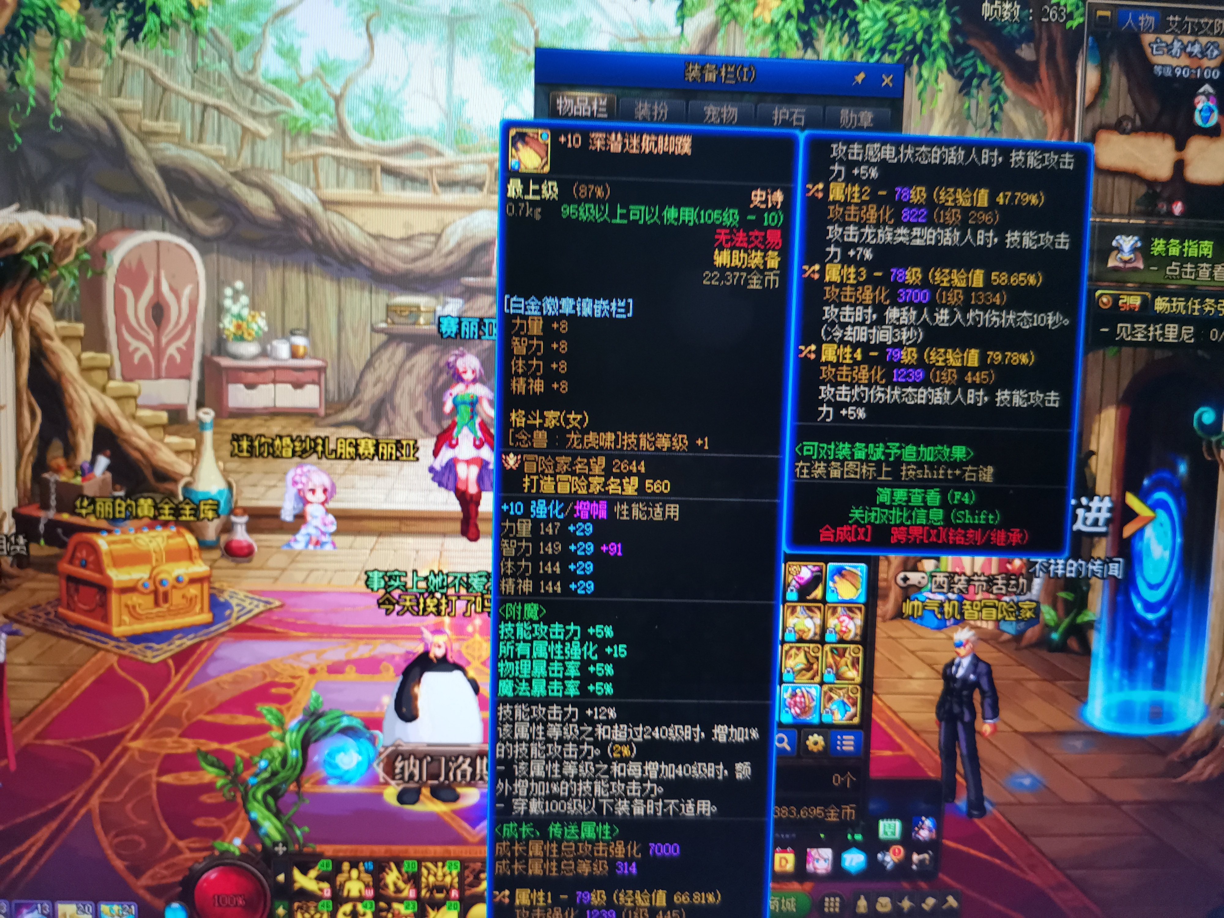 咨询各位大佬一个关于花花配装的问题2