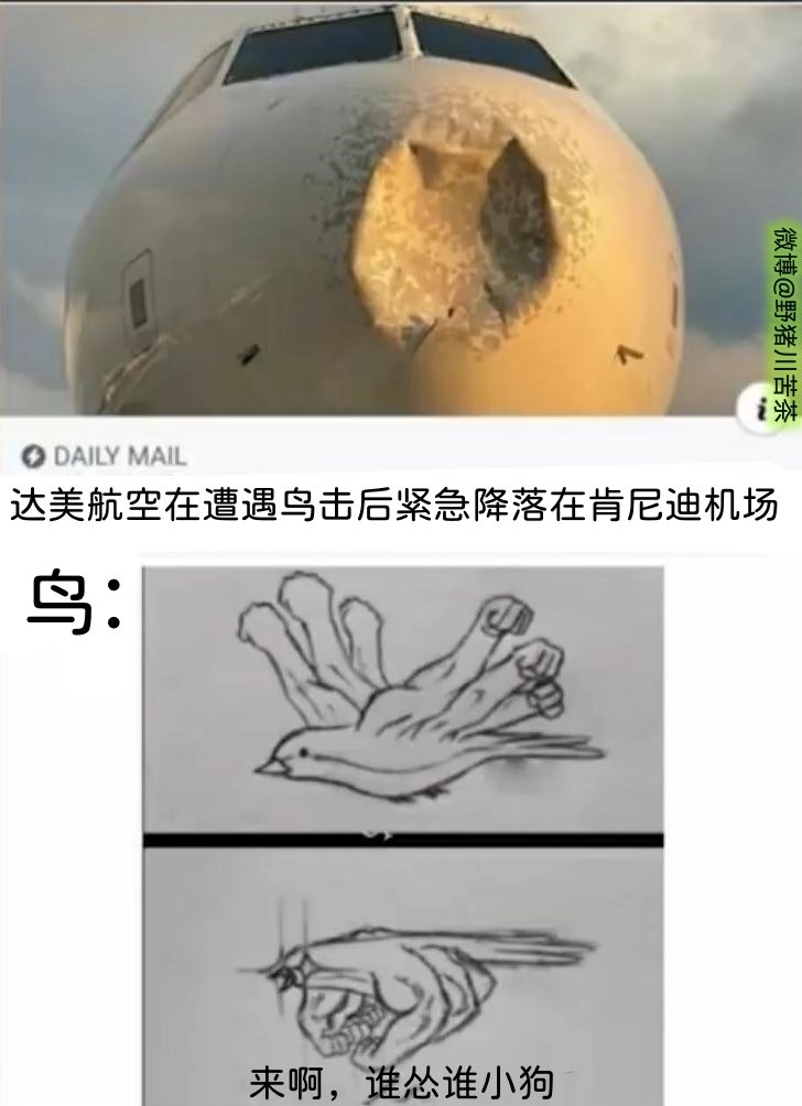 跟你爆了1