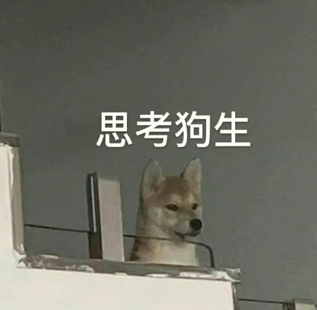 我买双帆布鞋还能翻车？闭眼买都不可能翻车好吧2