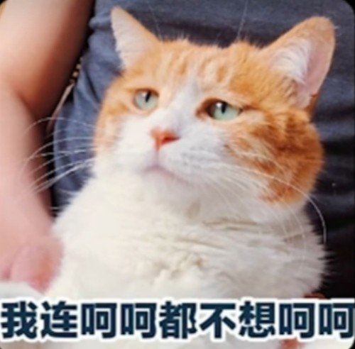 关于某论坛大佬s音避重就轻阴阳怪气威胁说要发论坛一事2