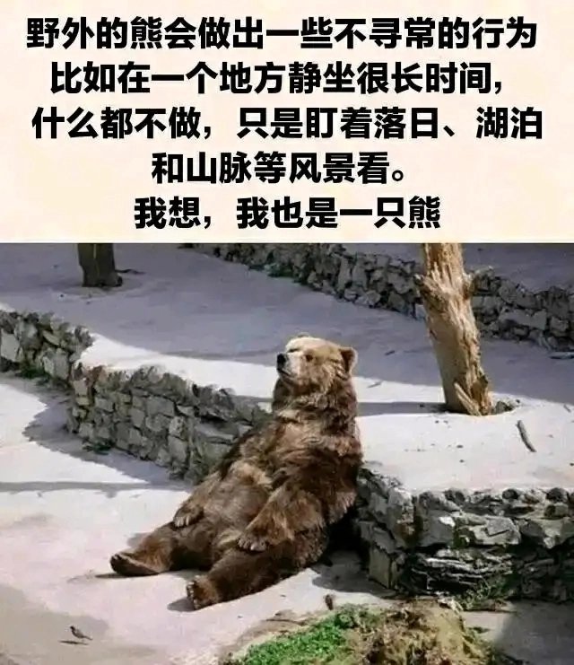 最近书荒了1