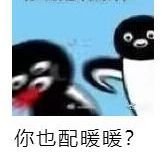 不懂就问，什么是暖暖专利3