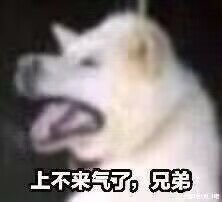 这游戏还能玩？1