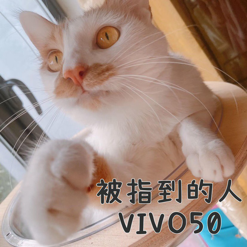 母鸡奶妈二通巴卡尔，70E女机械圆梦1