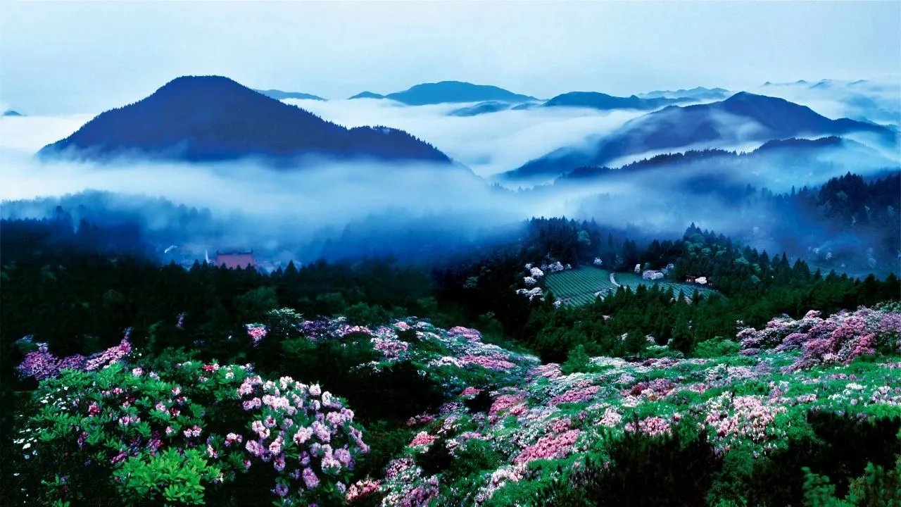 再存几张老家的照片30