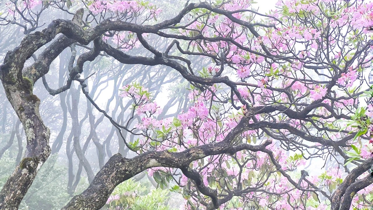 再存几张老家的照片31