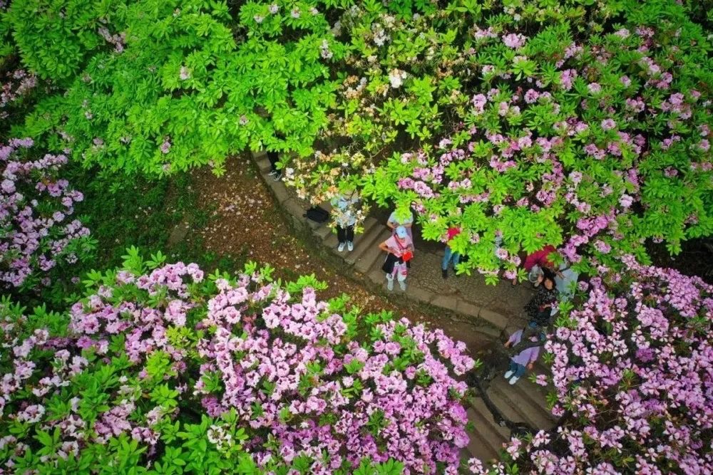 再存几张老家的照片32