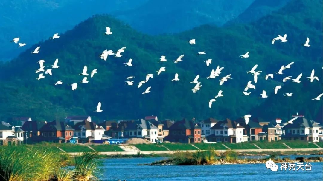 再存几张老家的照片26