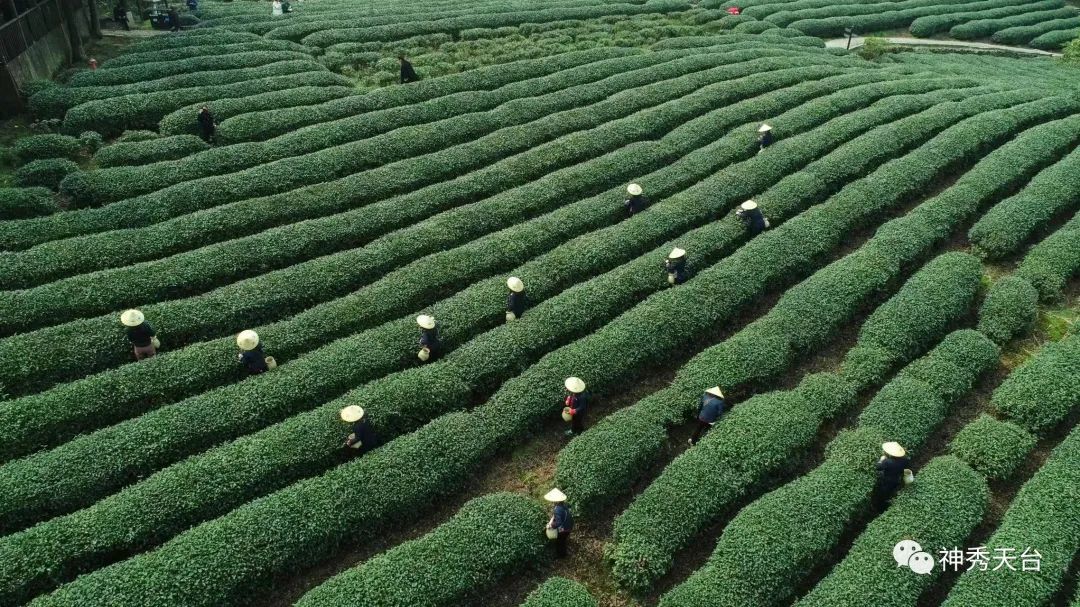 再存几张老家的照片1